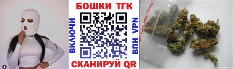 A-PVP Западная Двина
