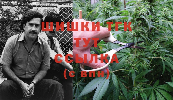молекула духа Михайловка