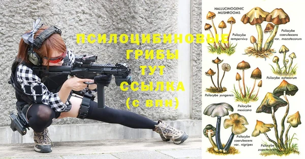 а пвп мука Наволоки